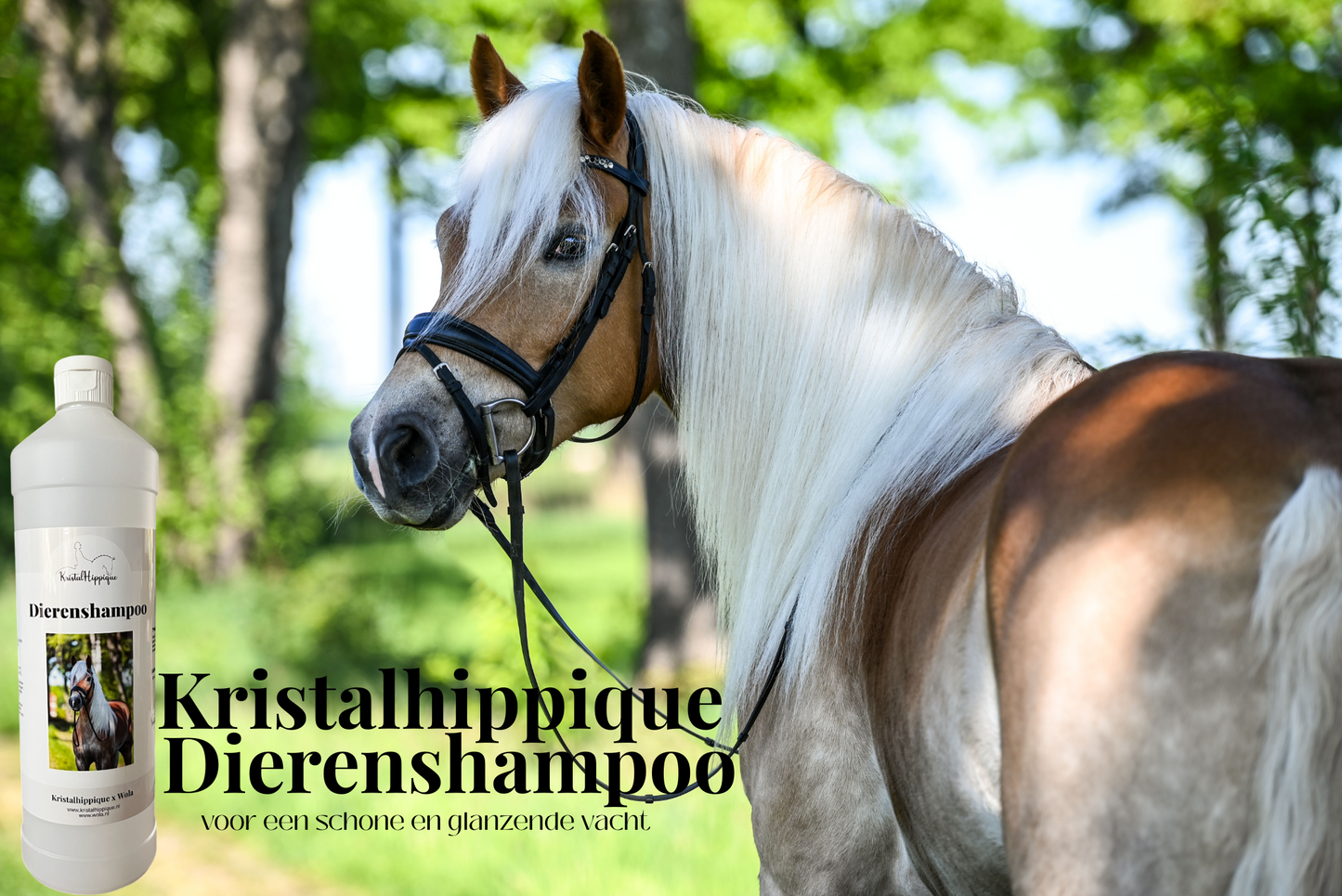 Dierenshampoo